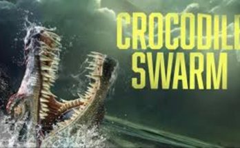 Crocodile Swarm 2023