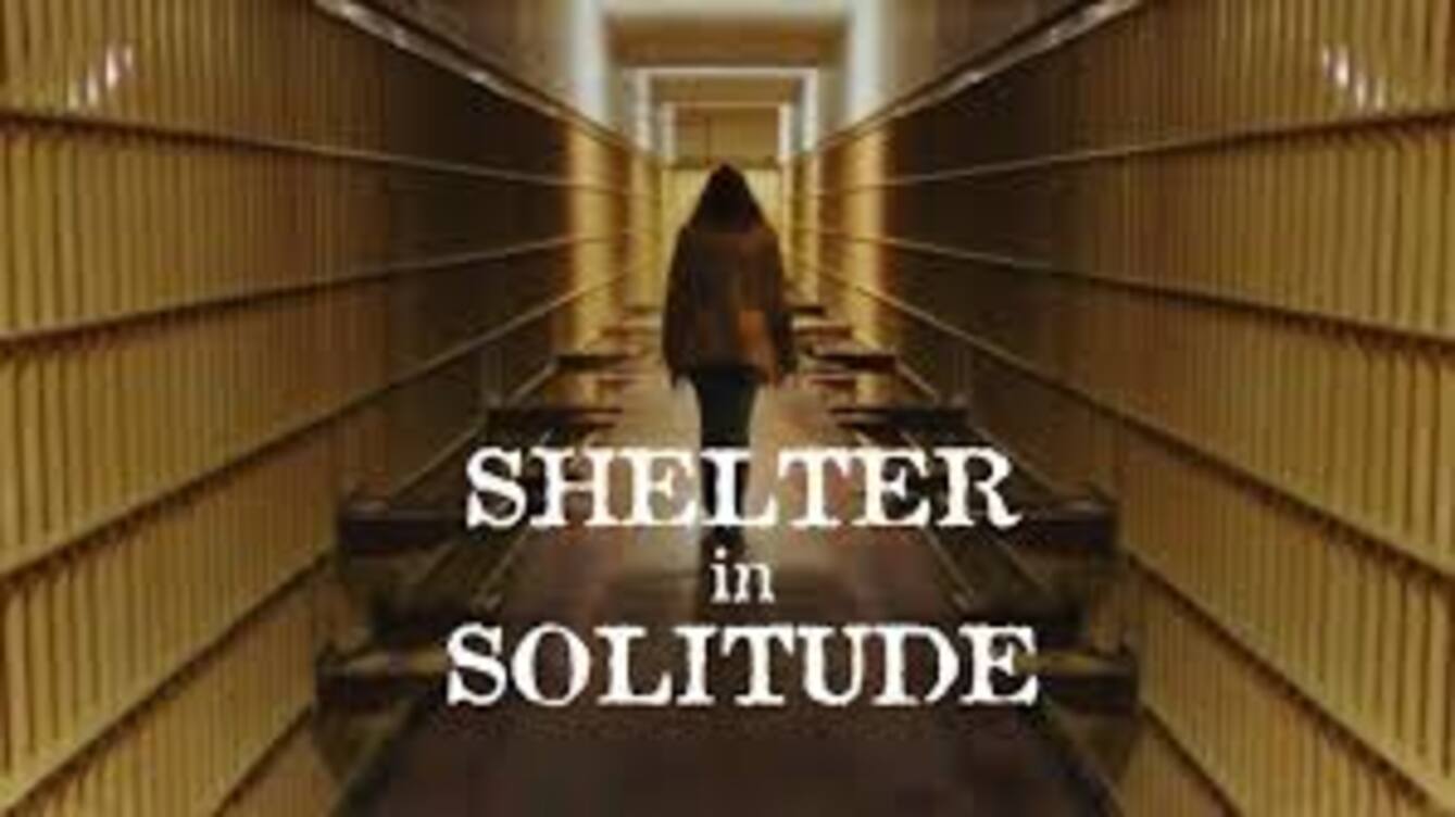 Shelter in Solitude 2023